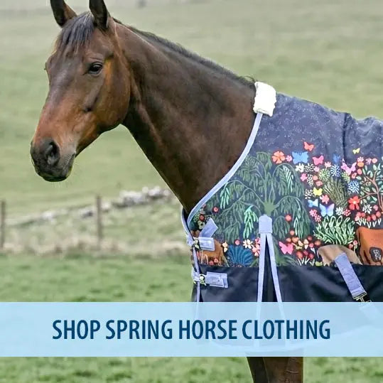 Horse wearing spring sheet with text " shop spring horse clothing"