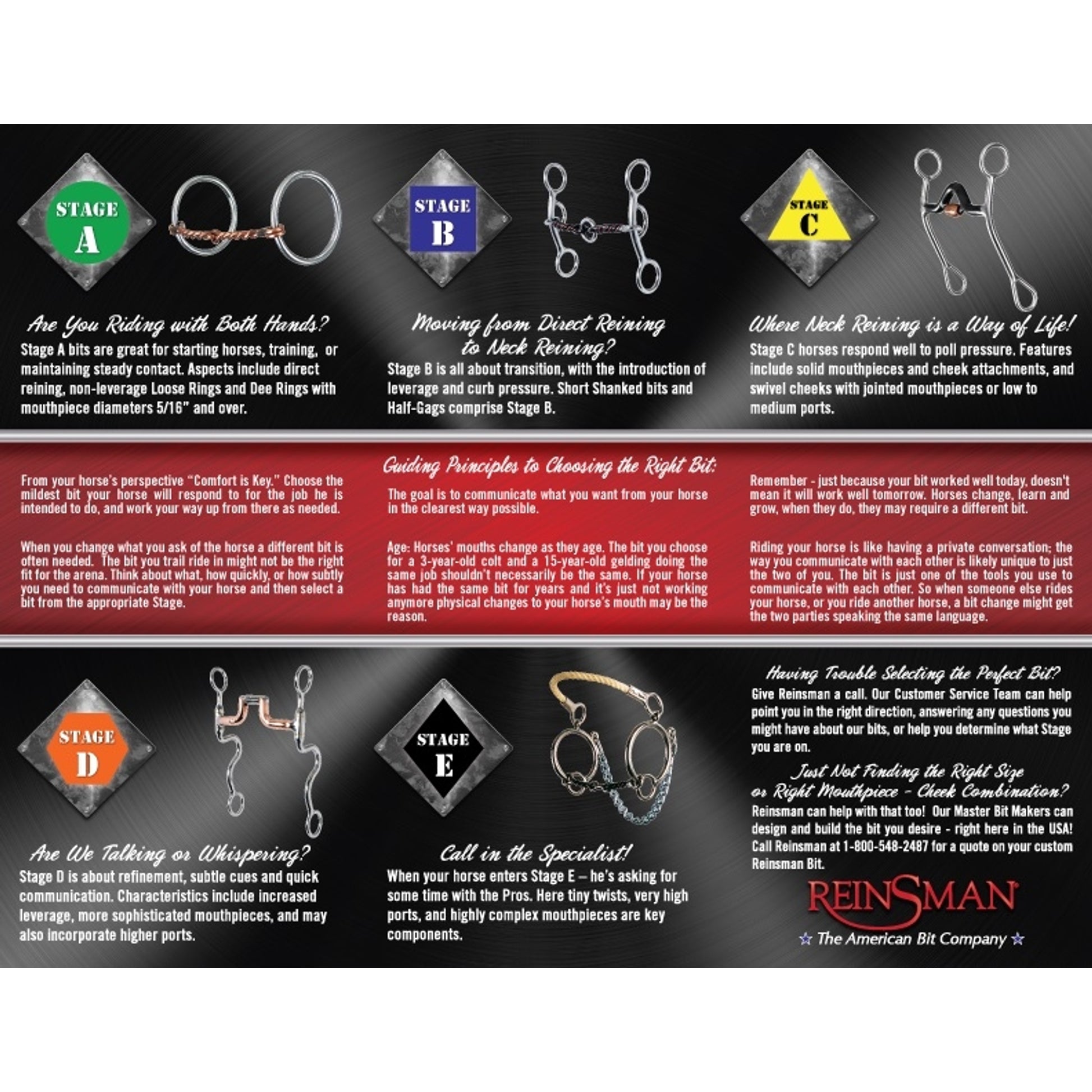 stages-bitting-brochure-inside.jpg