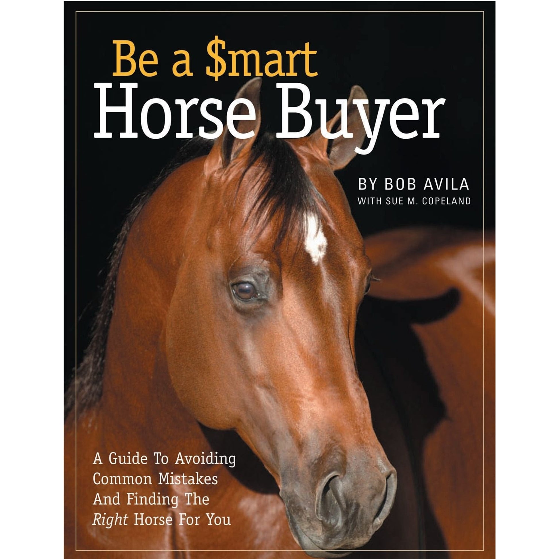 Be A Smart Horse Buyer by Bob Avila with S Copeland