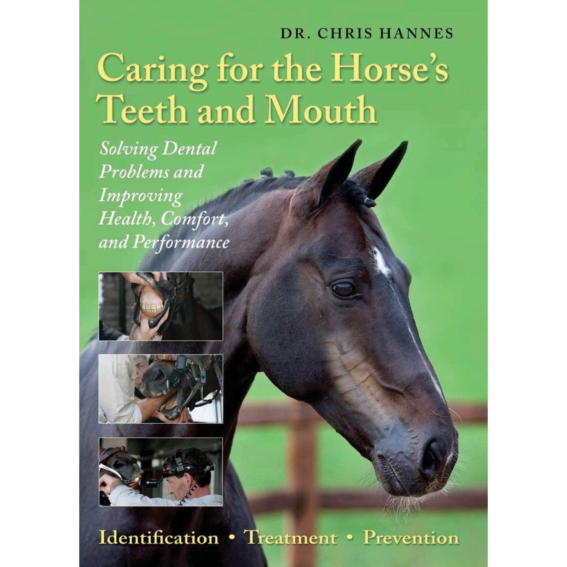 Caring for Horses Teeth and Mouth by Dr Chris Hannes