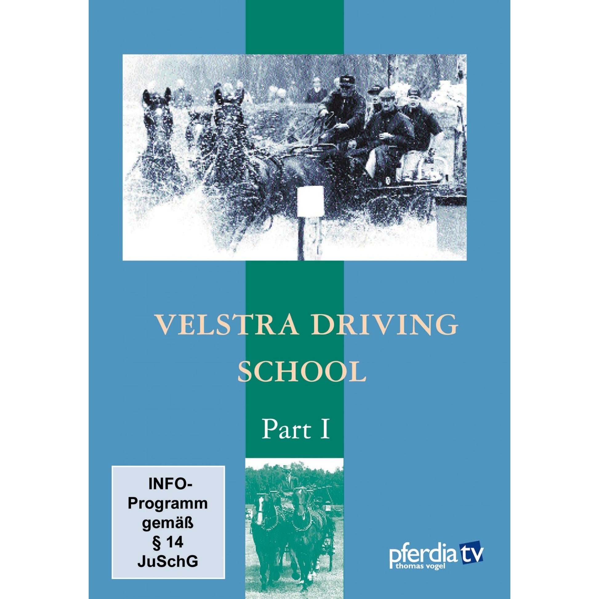 Velstra Driving Training Part 1 DVD-Tjeerd Velstra