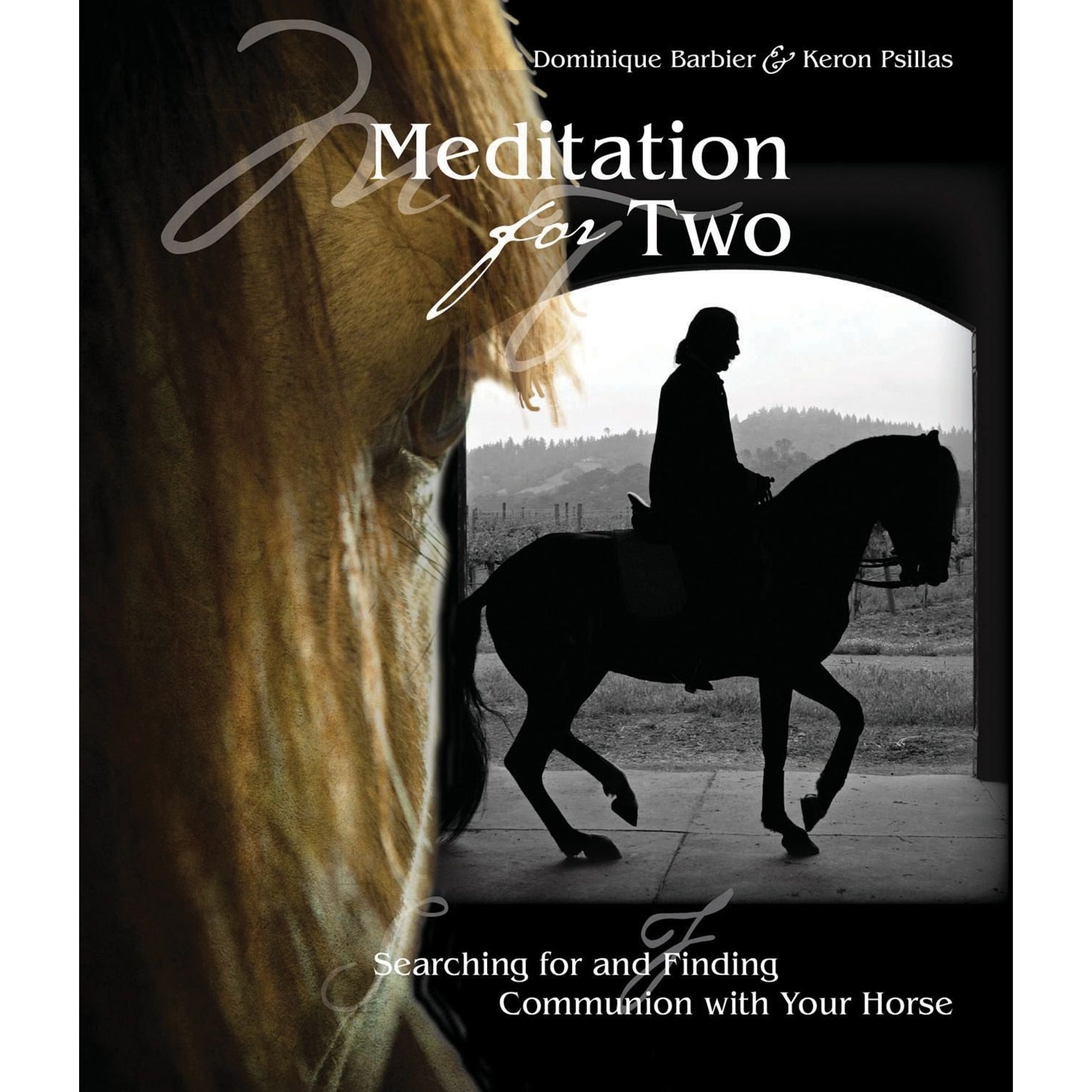 Meditation for Two-Dominique Barbier and Keron Paillas