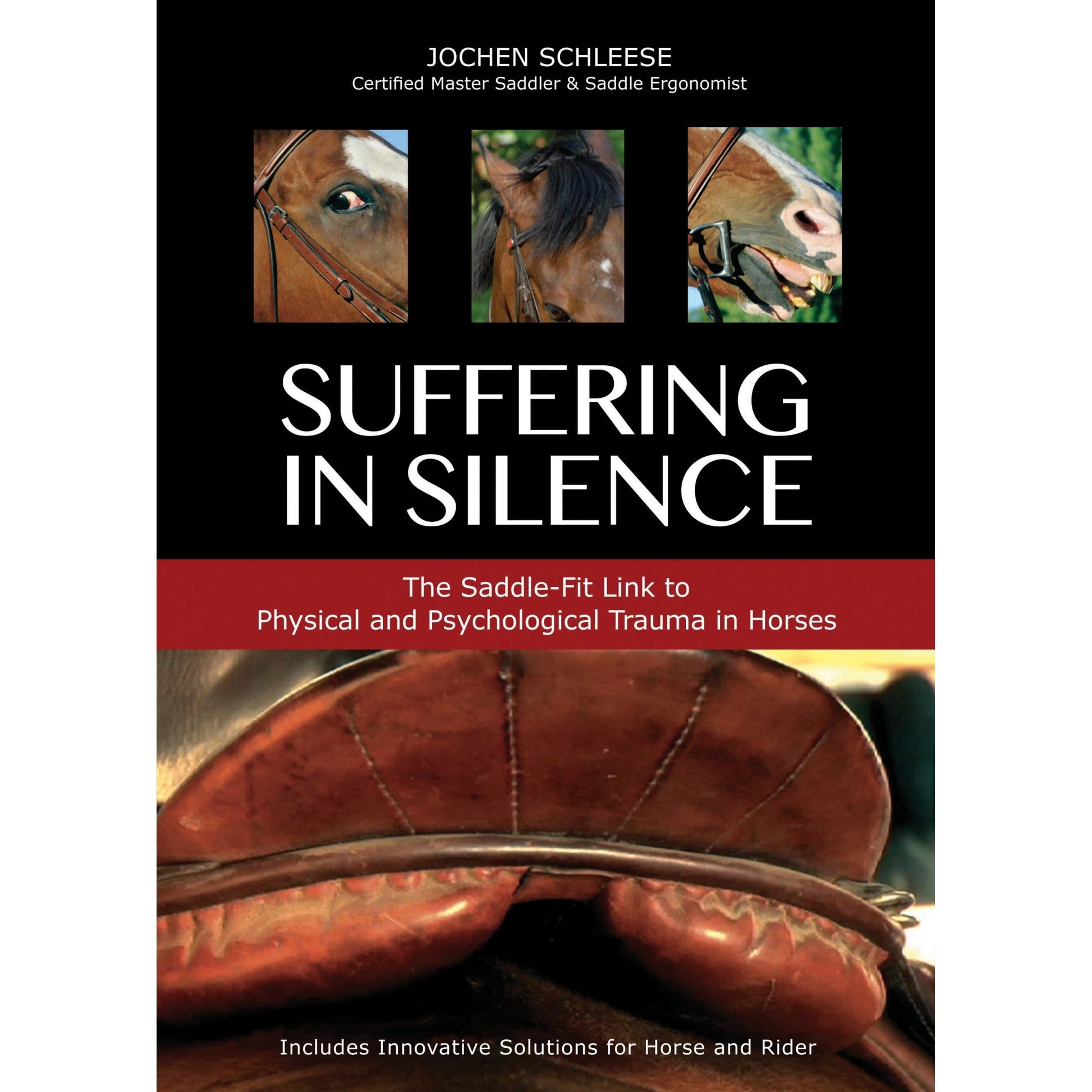 Suffering in Silence - Jochen Schleese