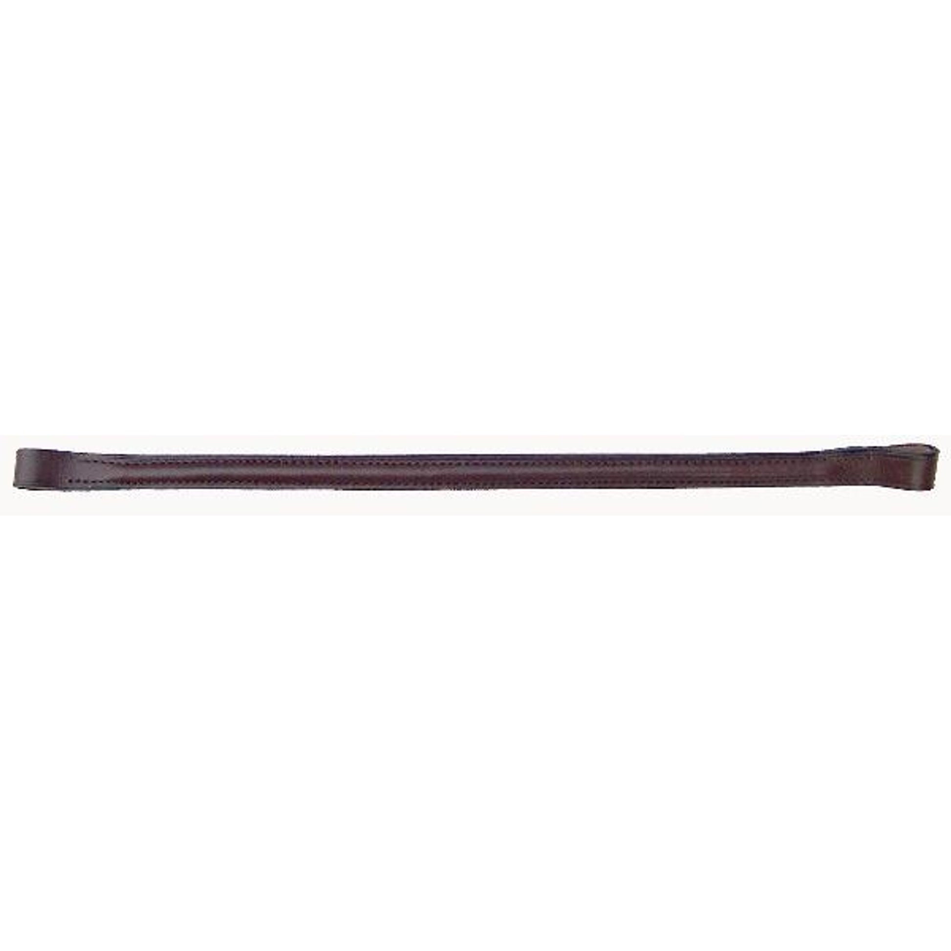 thorn25602.jpg