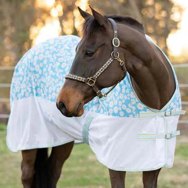 Horse wearing a blue and white floral blanket in an outdoor setting