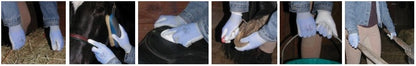 workhorseglove.jpg