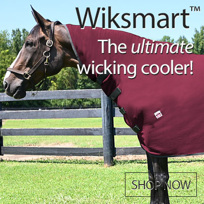 Wiksmart The Ultimate Cooler - Shop Now